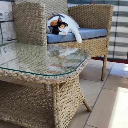 Valentino Appartement *