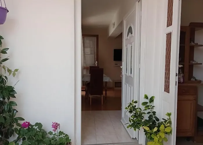 Valentino * 马卡尔斯卡